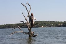 45596_1175473805188_1778389647_320515_1377805_n