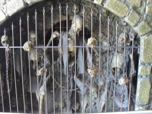 954764_10151617552124620_1879004493_n